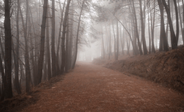 В субботу в Рязанской области ожидается туман и до +8 градусов