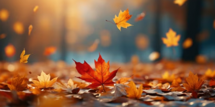 Синоптик Леус: зима прибудет в Центральную Россию во второй половине ноября