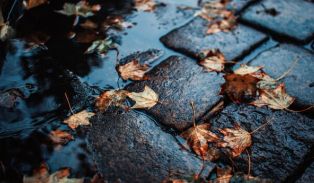 Во вторник в Рязанской области ожидается небольшой дождь и до +7 градусов