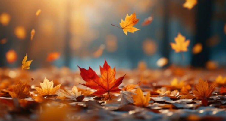 В ночь на среду в Рязанской области похолодает до -2 градусов