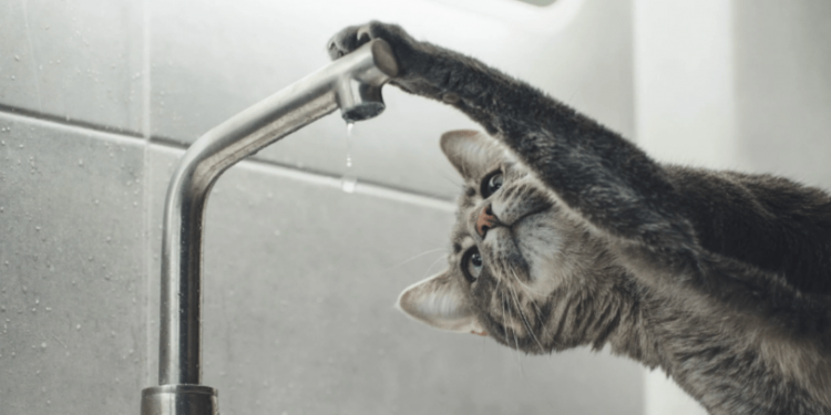 Еще на двух улицах 15 ноября отключили холодное водоснабжение