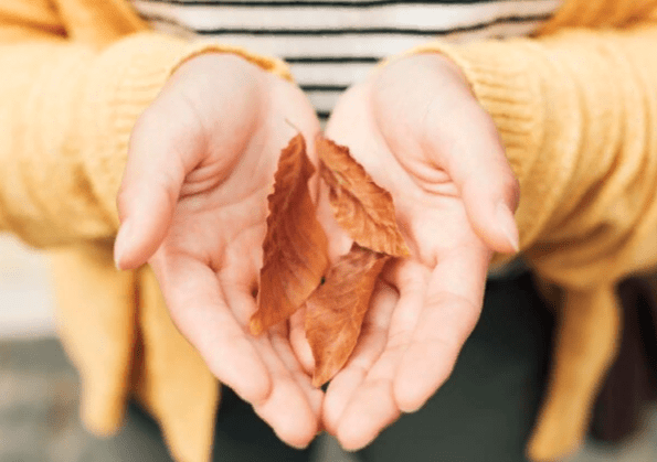 В выходные в Центральной России ожидается прохладная и комфортная погода