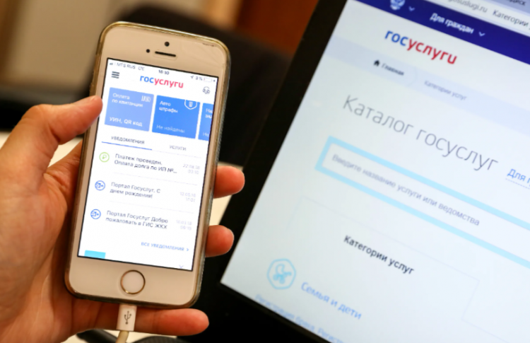 Рязанцы смогут воспользоваться на портале госуслуг тремя новыми услугами