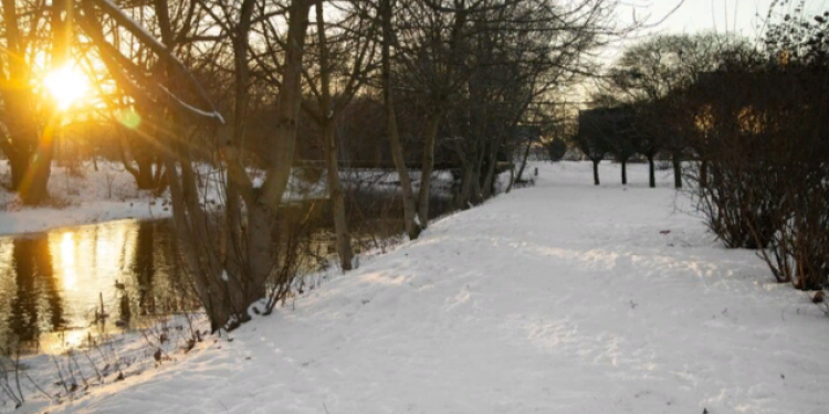 В ночь на 23 ноября в Рязанской области похолодает до -15 градусов