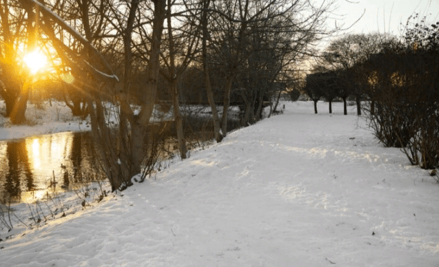 В ночь на 23 ноября в Рязанской области похолодает до -15 градусов