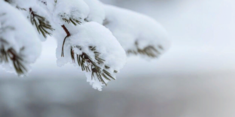 Метеоролог Позднякова: с понедельника в Центральной России начнутся снегопады