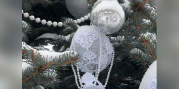 На выставке ВДНХ в Москве установили елку из Рязанского региона