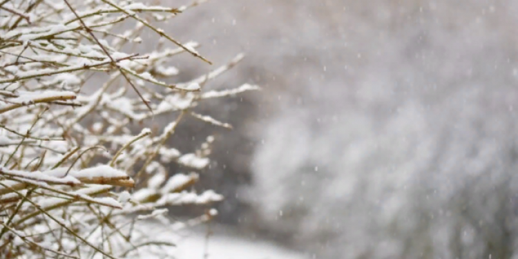 В четверг в Рязанской области ожидается мокрый снег, снежные заносы и до +2 градусов В четверг в Рязанской области ожидается мокрый снег, снежные заносы и до +2 градусов