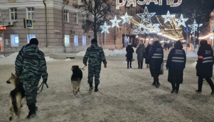 В ночь на 3 декабря в центре Рязани заметили автозаки и кинологов
