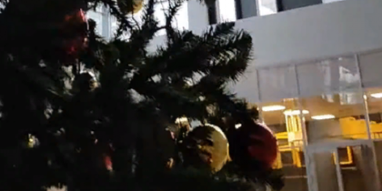 В Музейном центре на Соборной установили новогоднюю елку В Музейном центре на Соборной установили новогоднюю елку