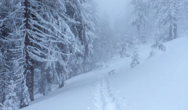 В ночь на среду в Рязанской области похолодает до -14 градусов
