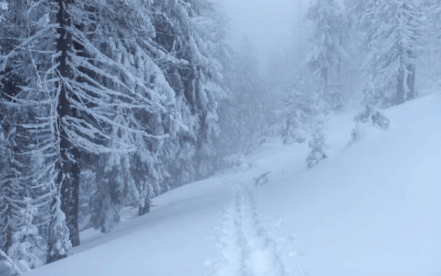 В ночь на среду в Рязанской области похолодает до -14 градусов