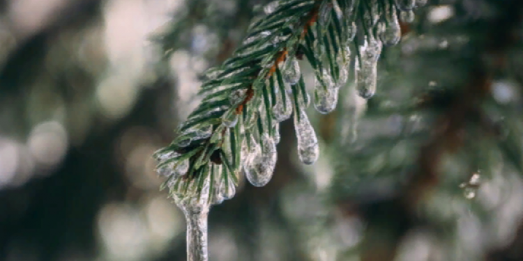 Синоптик Вильфанд: в воскресенье в Центральной России ожидается плюсовая температура