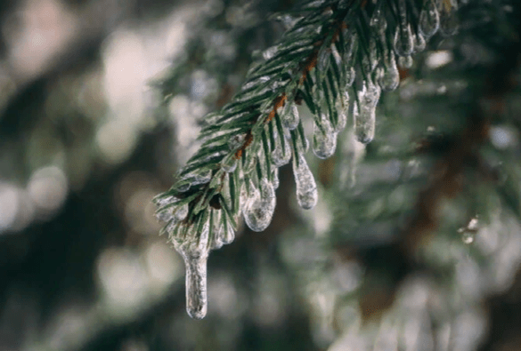 Синоптик Вильфанд: в воскресенье в Центральной России ожидается плюсовая температура