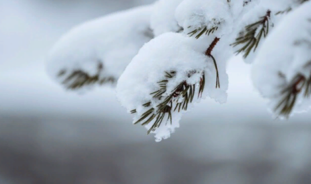 В ночь на 14 декабря в Рязанской области похолодает до -16 градусов