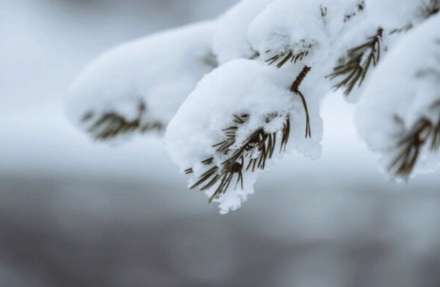 В ночь на 14 декабря в Рязанской области похолодает до -16 градусов