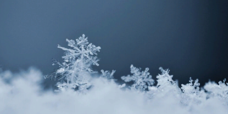 В пятницу в Рязанской области ожидается метель и до -8 градусов