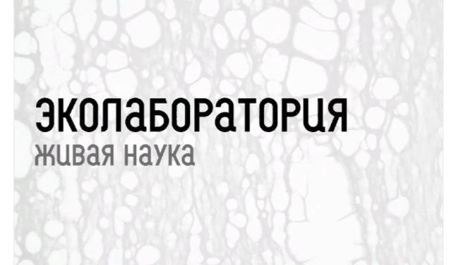В Музейном центре на Соборной откроется эколаборатория