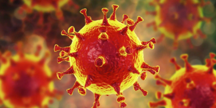 ВОЗ: коронавирус продолжает мутировать ВОЗ: коронавирус продолжает мутировать