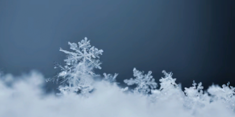 В пятницу в Рязанской области ожидается небольшой снег и до +3 градусов