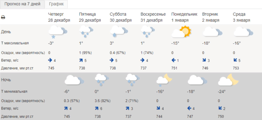 В первые дни Нового года в Рязанской области ожидаются аномальные морозы
