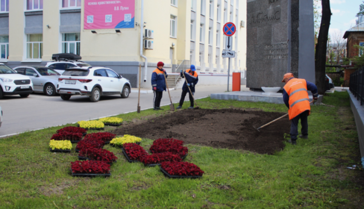 В центре Рязани высадили колеус и петунию