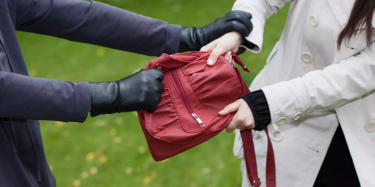 Рязанцев предупредили о двух грабителях, орудующих в Канищеве Рязанцев предупредили о двух грабителях, орудующих в Канищеве