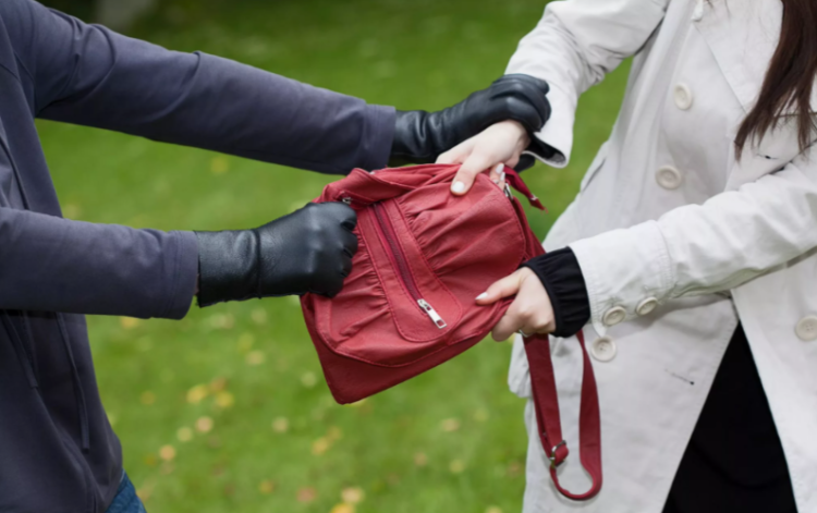 Рязанцев предупредили о двух грабителях, орудующих в Канищеве