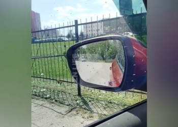 Рязанцы засняли стаю мошек у Дворца спорта «Олимпийский»