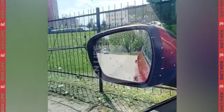 Рязанцы засняли стаю мошек у Дворца спорта «Олимпийский»