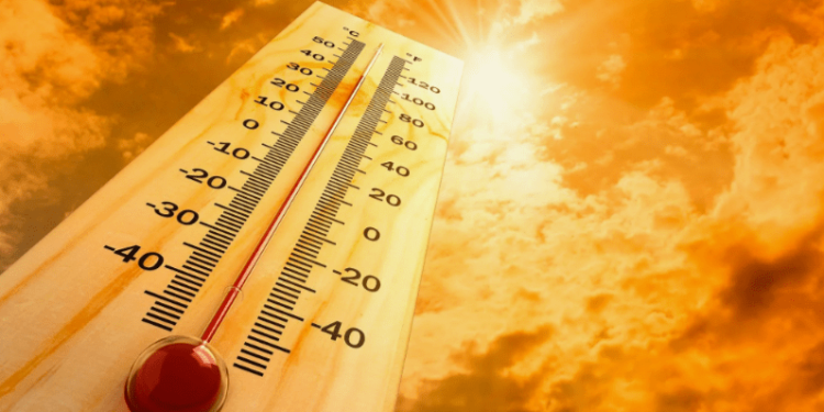 МЧС: с 30 мая по 1 июня в Рязанской области ожидается жара до +31 градуса