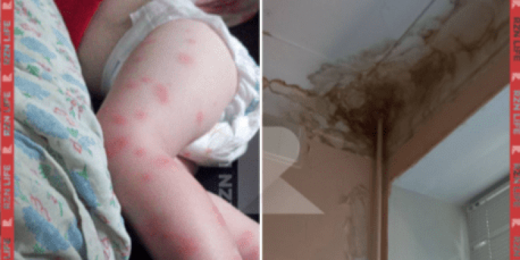 Рязанка пожаловалась на кошмарные условия в детской больнице №9