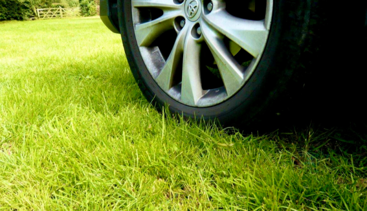 С начала 2024 года в Рязани оштрафовали 1124 водителя, парковавшихся на газонах