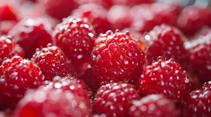 Хедлайнером на фестивале «Малина» в Рыбновском районе станет группа «Отпетые мошенники»