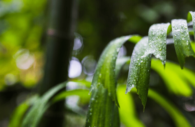29 июля Рязань накрыл циклон "Кирсти"