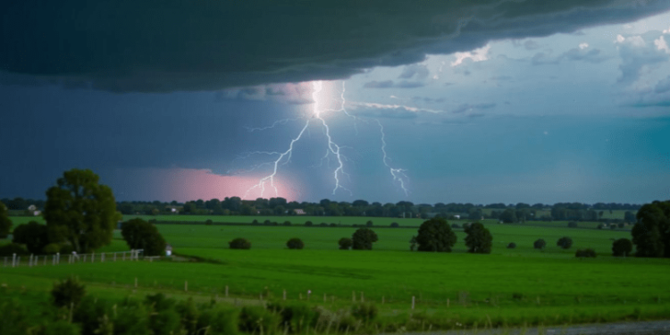 В среду в Рязанской области ожидается дождь и до +24 градусов