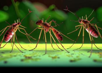 Роспотребнадзор: в Рязанском регионе выявили 3 случая лихорадки Западного Нила