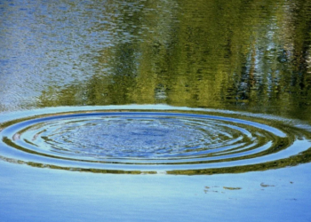 На 1-ом Борковском карьере в Рязани утонул 30-летний мужчина