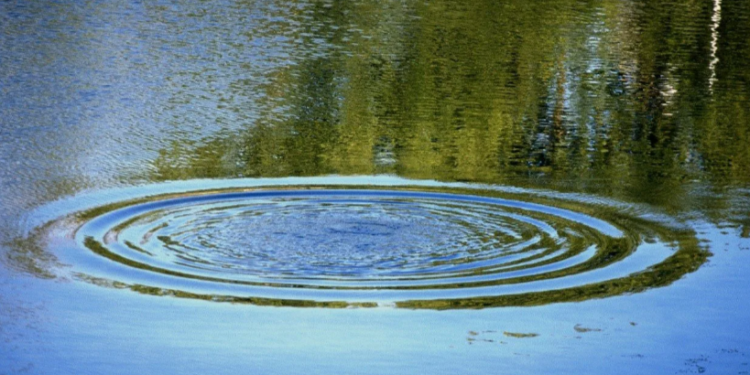 На 1-ом Борковском карьере в Рязани утонул 30-летний мужчина