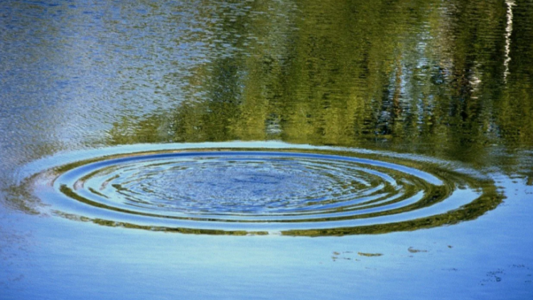 На 1-ом Борковском карьере в Рязани утонул 30-летний мужчина