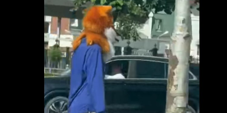Рязанцы запечатлели в центре города мужчину «с головой лисы»
