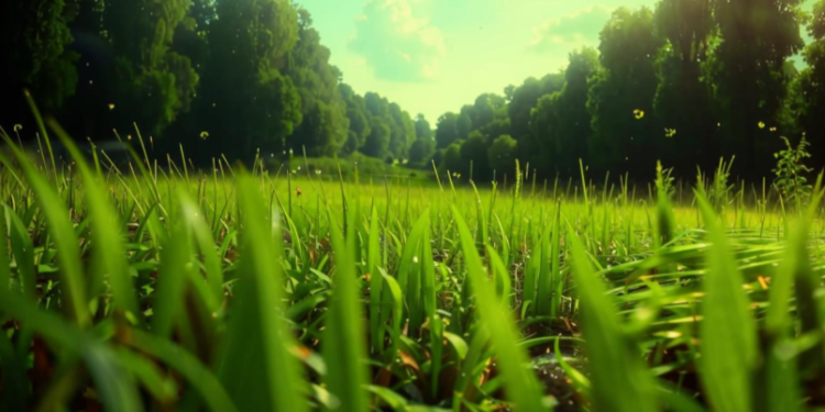 Синоптик Шувалов: на текущей неделе россиян ждет нестабильная погода