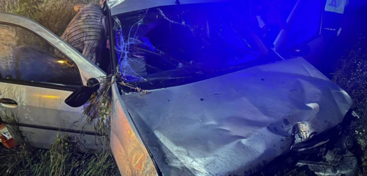 В ДТП в Шацком районе пострадали двое взрослых и двое детей