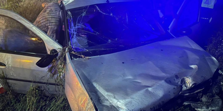 В ДТП в Шацком районе пострадали двое взрослых и двое детей