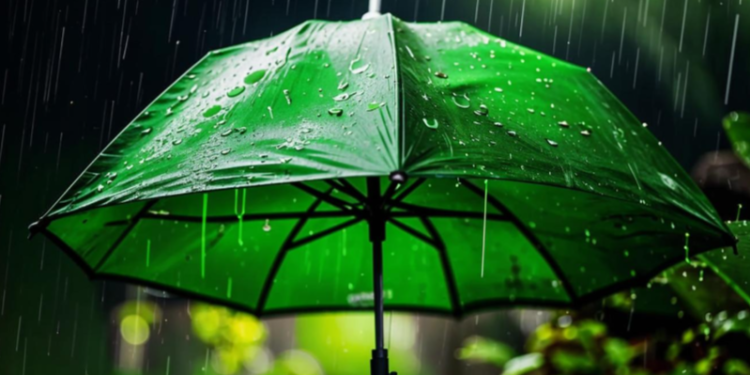 В среду в Рязанской области ожидается дождь и до +27 градусов