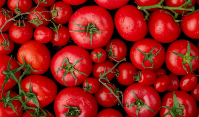 Жителю рязанского Ряжска грозит уголовная ответственность за кражу 10 килограммов помидоров