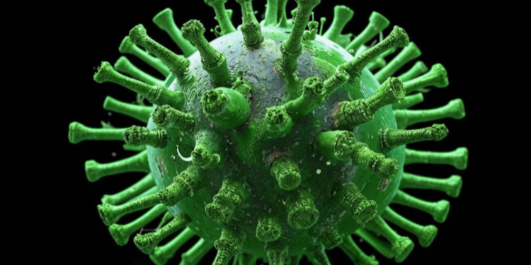 В Рязанской области 86 человек заразились коронавирусом