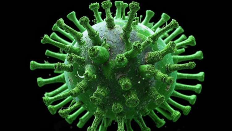 В Рязанской области 86 человек заразились коронавирусом