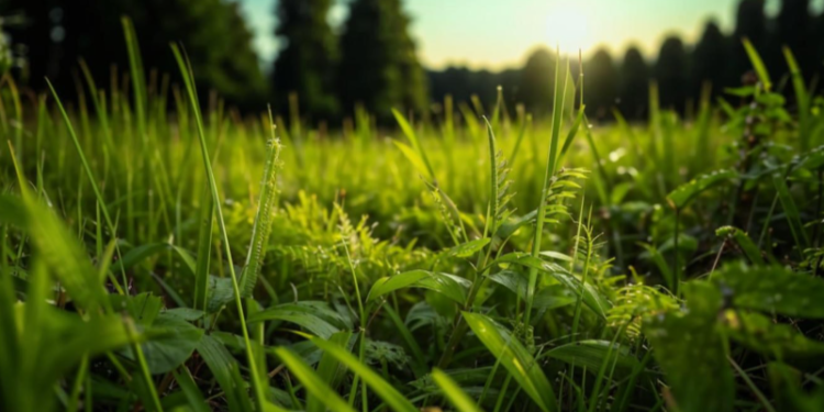 Метеоролог Варакин пообещал теплый конец августа в Центральной России