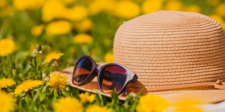 В четверг в Рязанской области потеплеет до +28 градусов